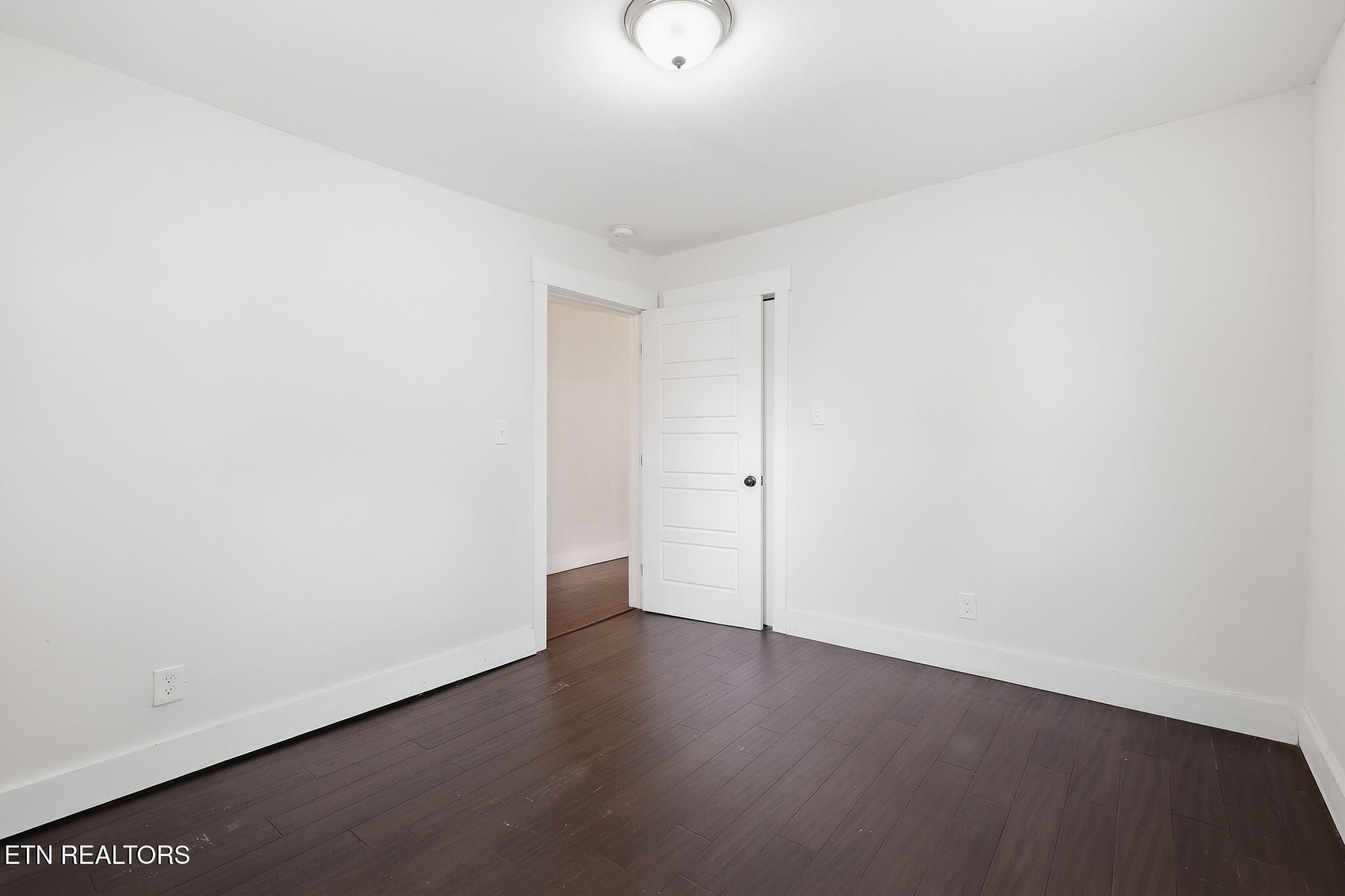 2447 Amber St Property Photo 19