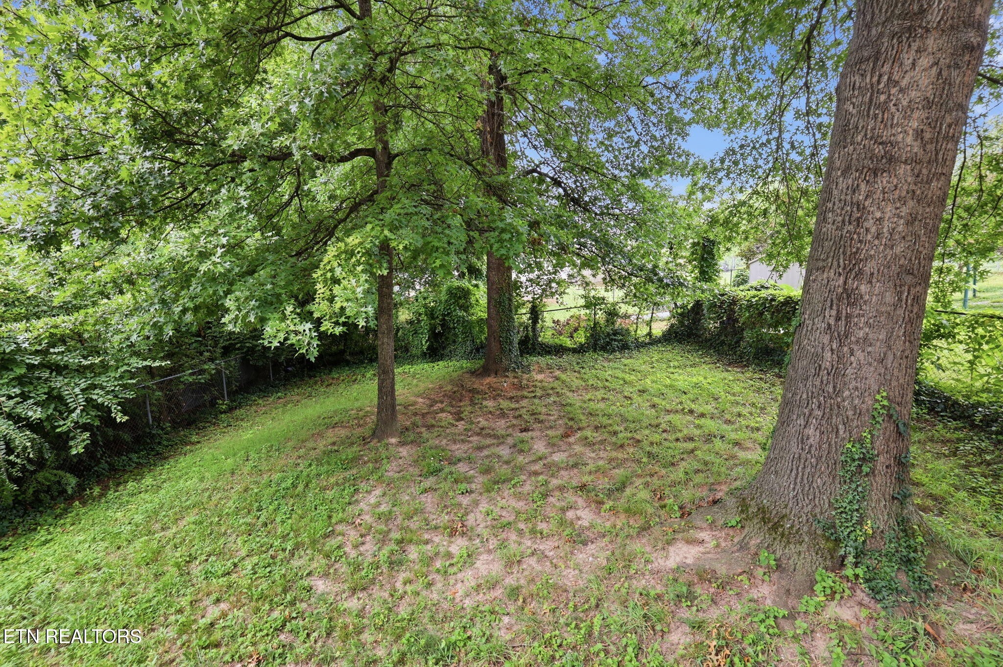 2447 Amber St Property Photo 41