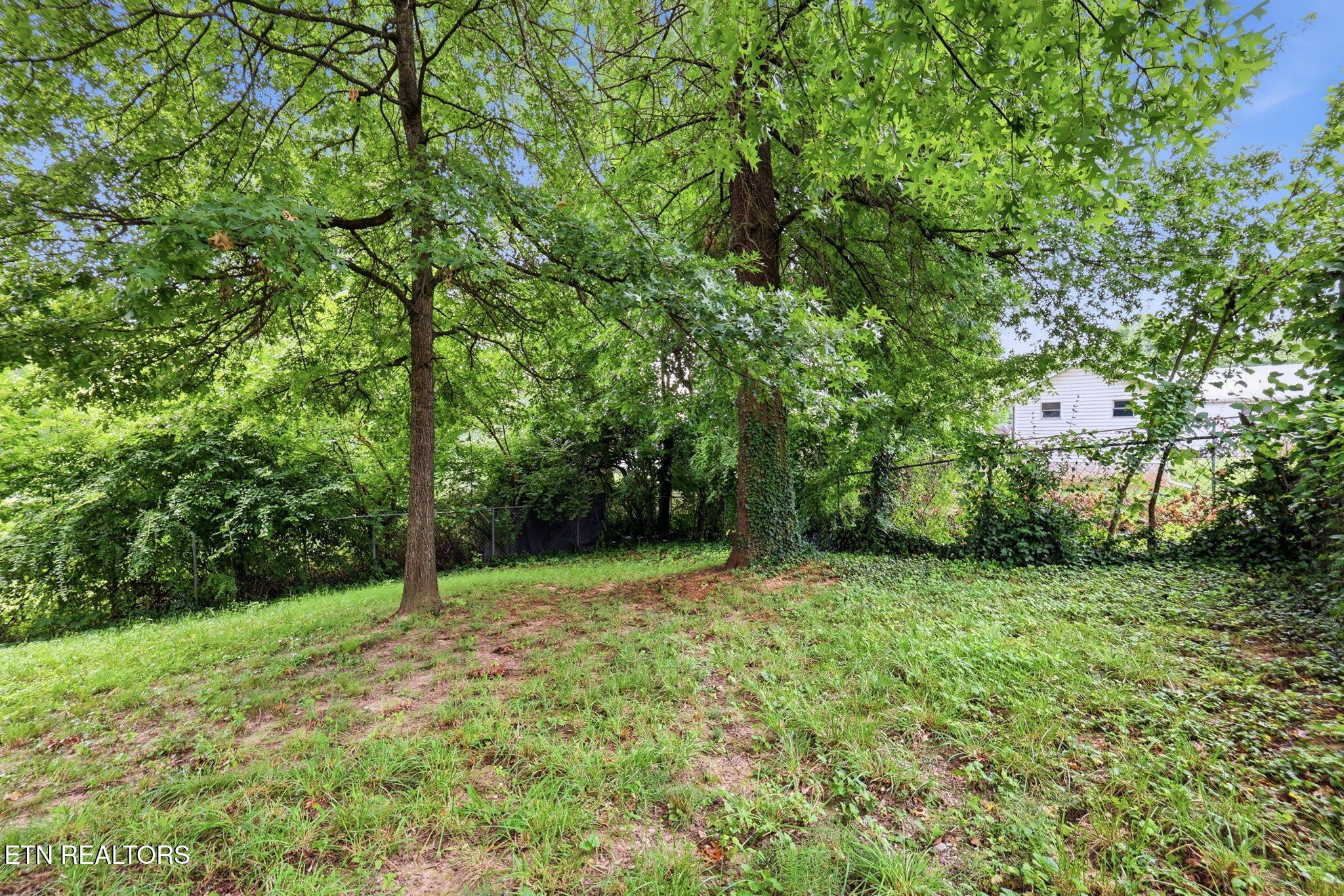 2447 Amber St Property Photo 44
