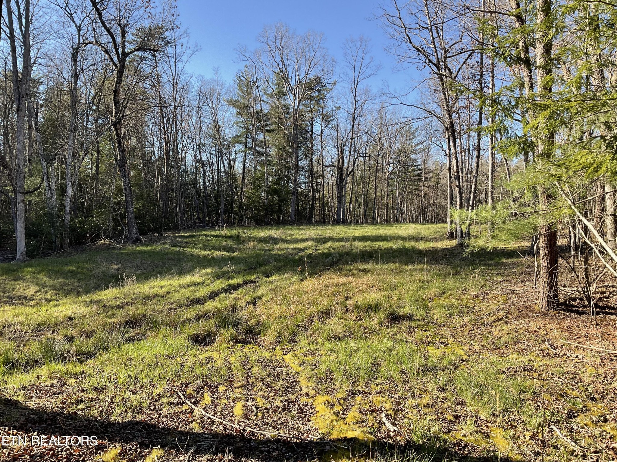 2 Pine Breeze Drive Property Photo 1
