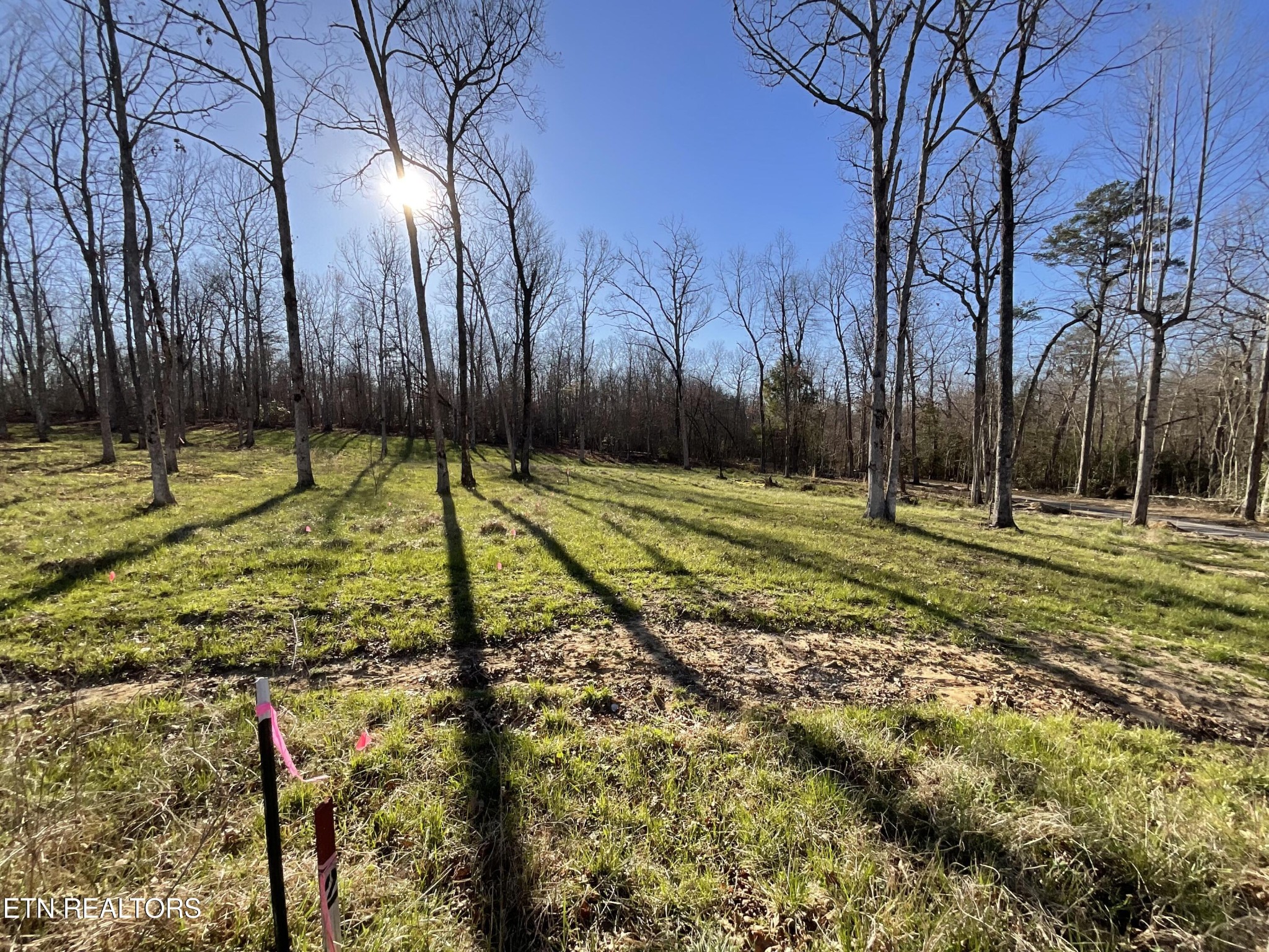 2 Pine Breeze Drive Property Photo 5