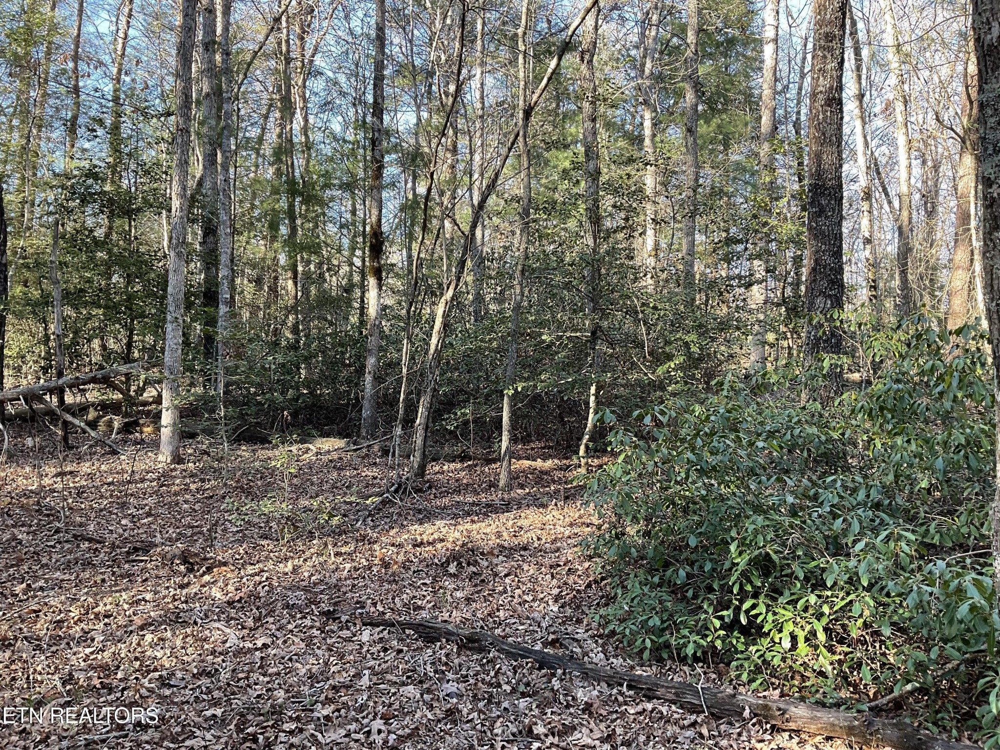 2 Pine Breeze Drive Property Photo 7