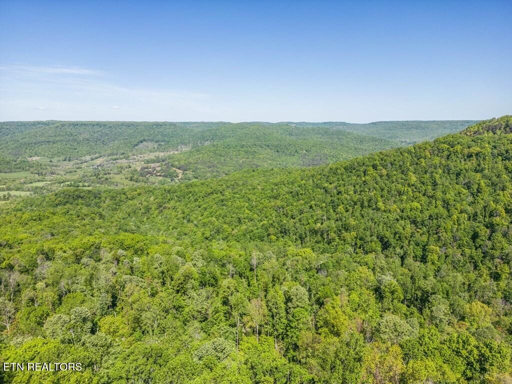 1206 Wind Rush Way Property Photo 7