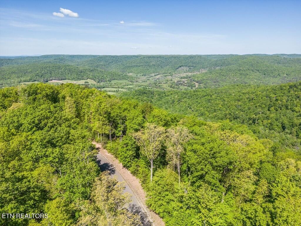 1206 Wind Rush Way Property Photo 8