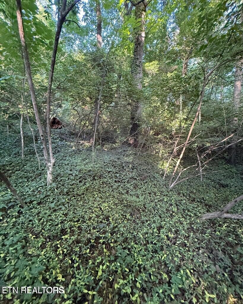 5016 Ridgemont Drive Property Photo 4