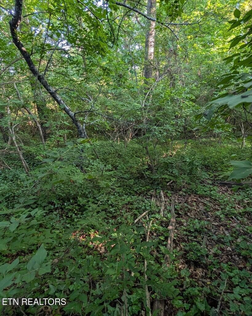 5016 Ridgemont Drive Property Photo 5