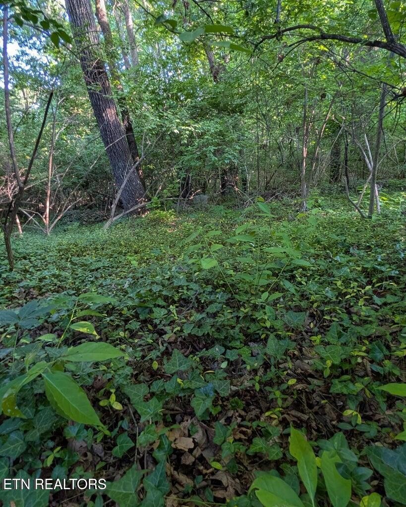 5016 Ridgemont Drive Property Photo 6