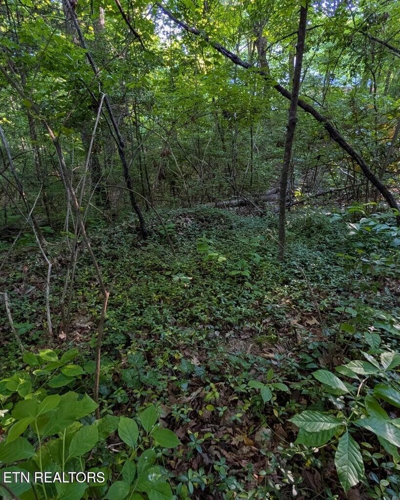 5016 Ridgemont Drive Property Photo 7