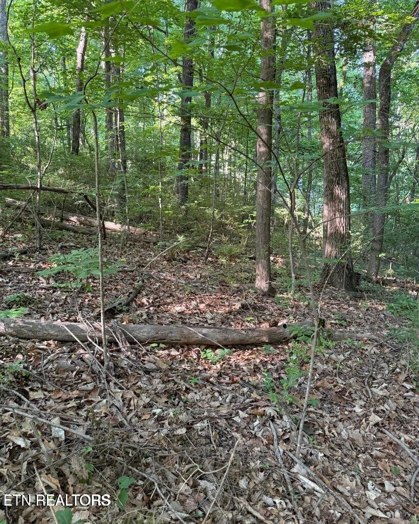 0 Ridgemont Drive Property Photo 3