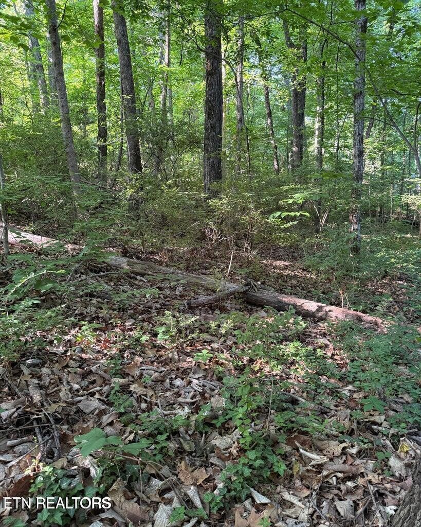 0 Ridgemont Drive Property Photo 4