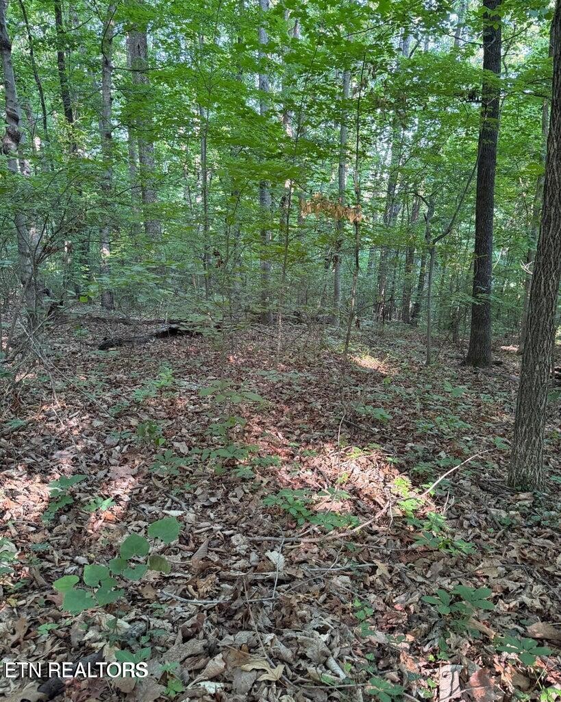 0 Ridgemont Drive Property Photo 5