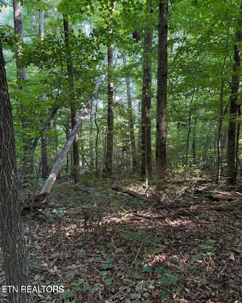 0 Ridgemont Drive Property Photo 6