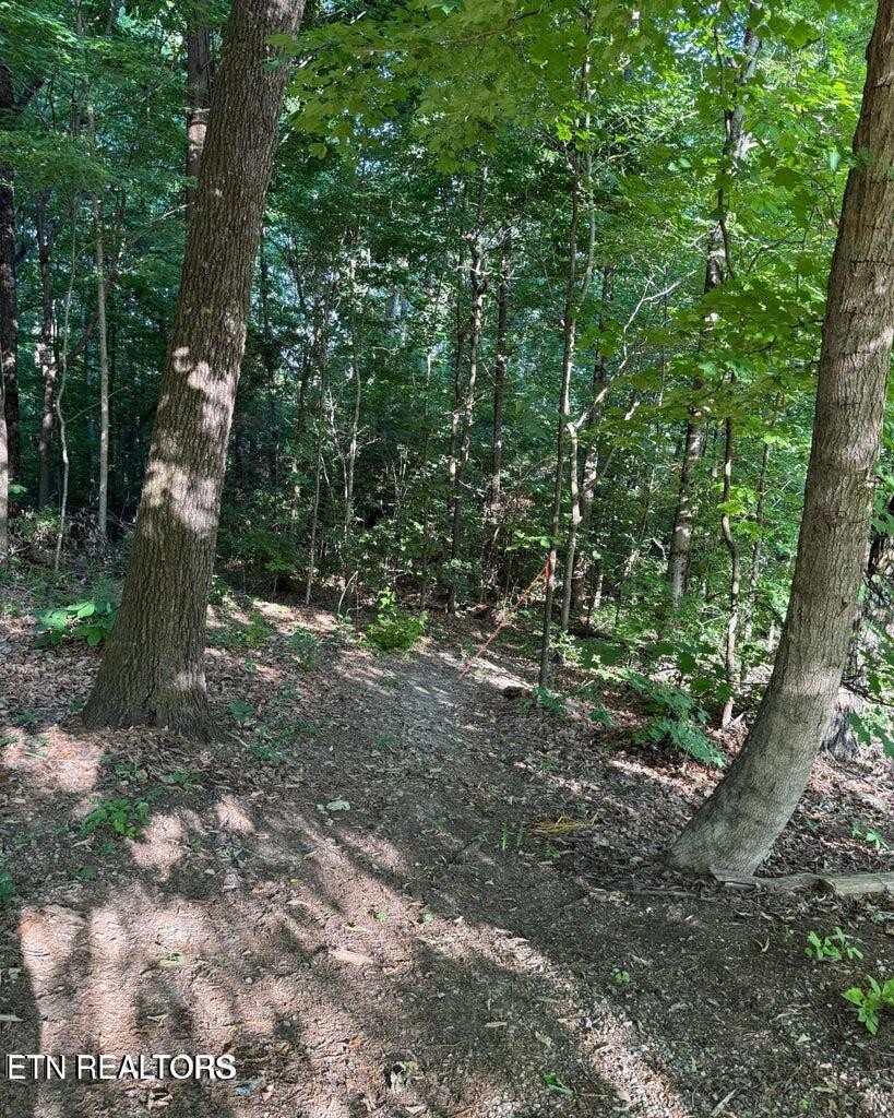0 Ridgemont Drive Property Photo 7