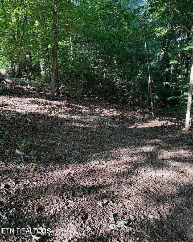 0 Ridgemont Drive Property Photo 8