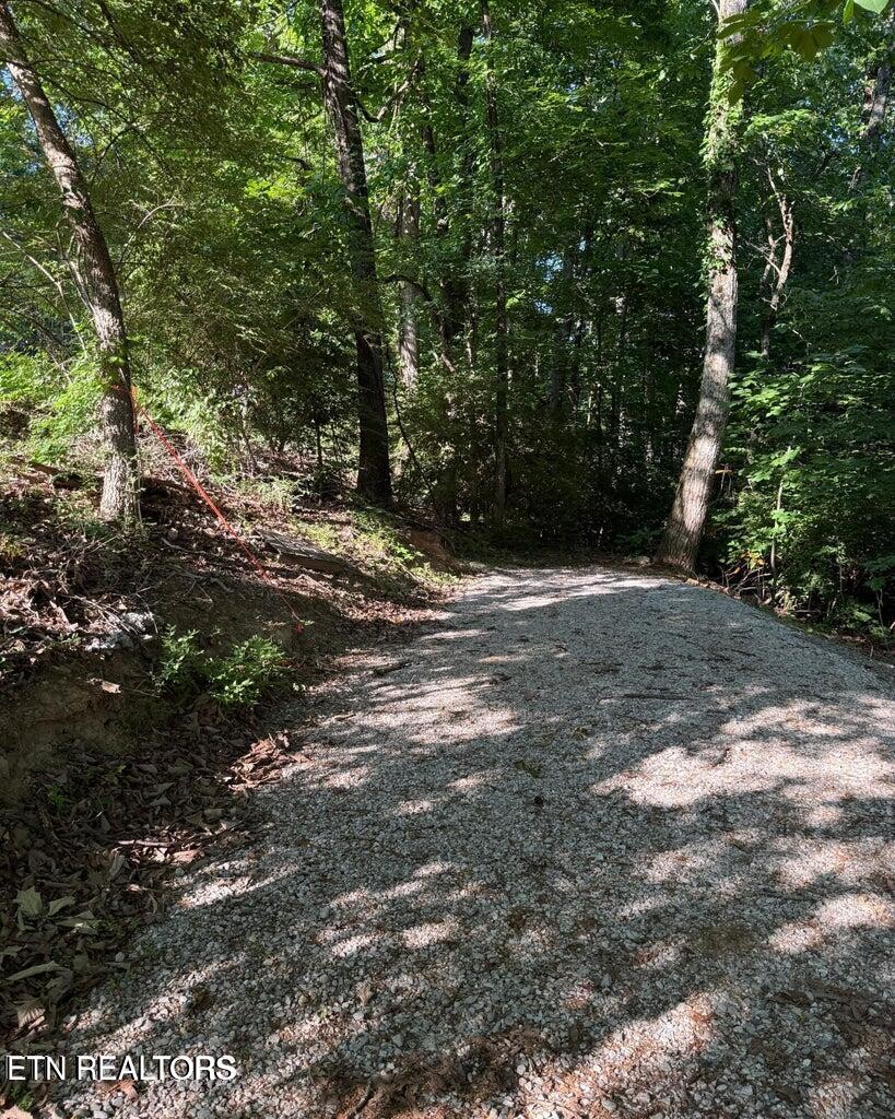 0 Ridgemont Drive Property Photo 9