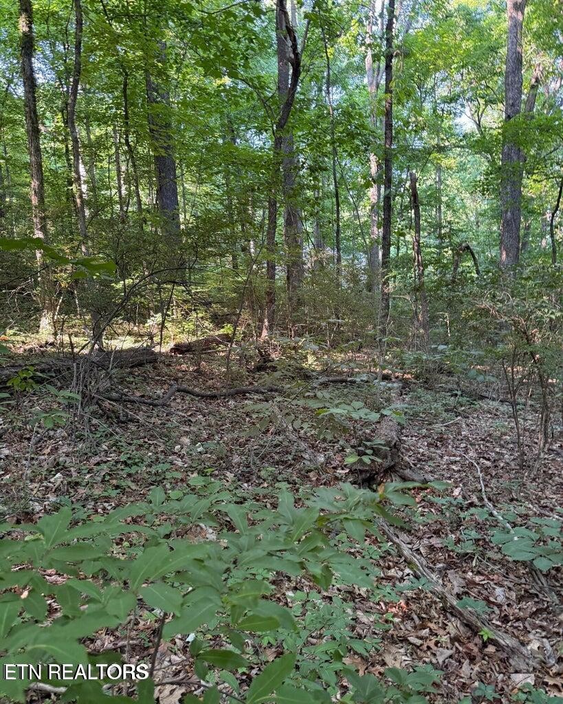 0 Ridgemont Drive Property Photo 11
