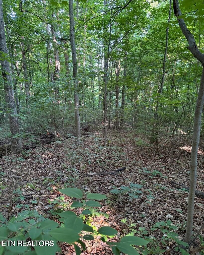 0 Ridgemont Drive Property Photo 12
