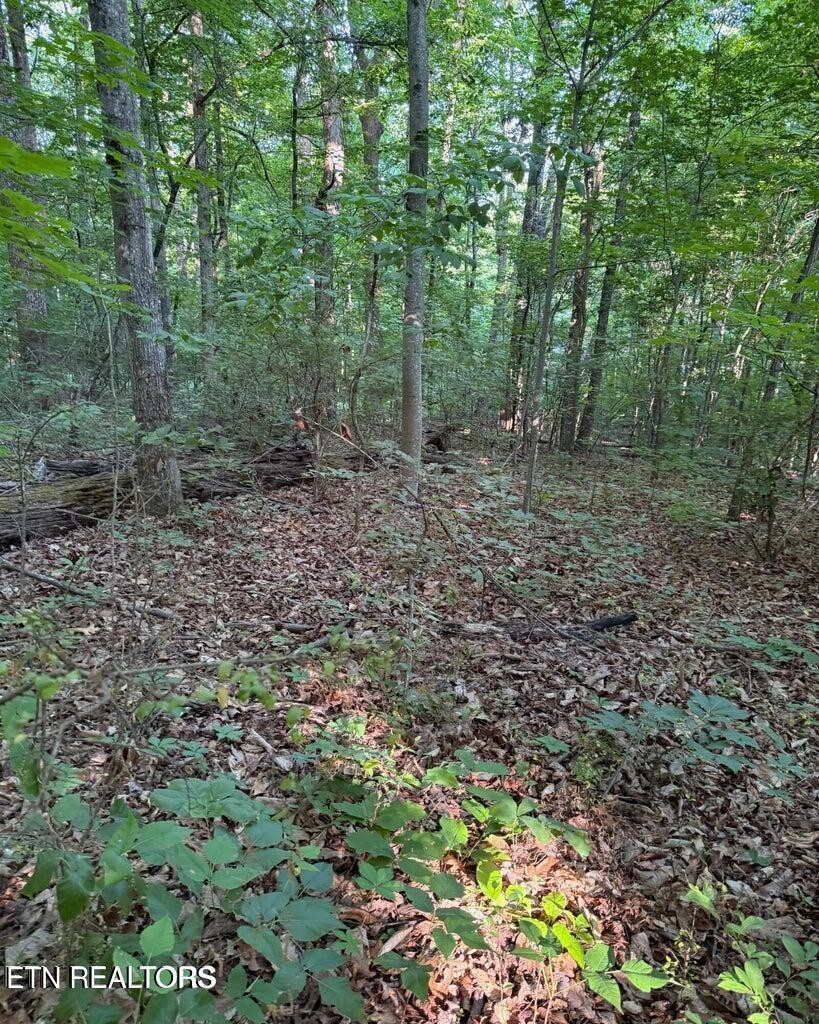 0 Ridgemont Drive Property Photo 13