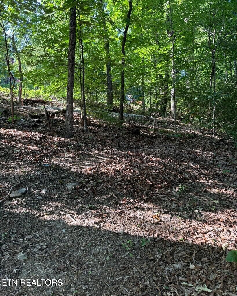 0 Ridgemont Drive Property Photo 15