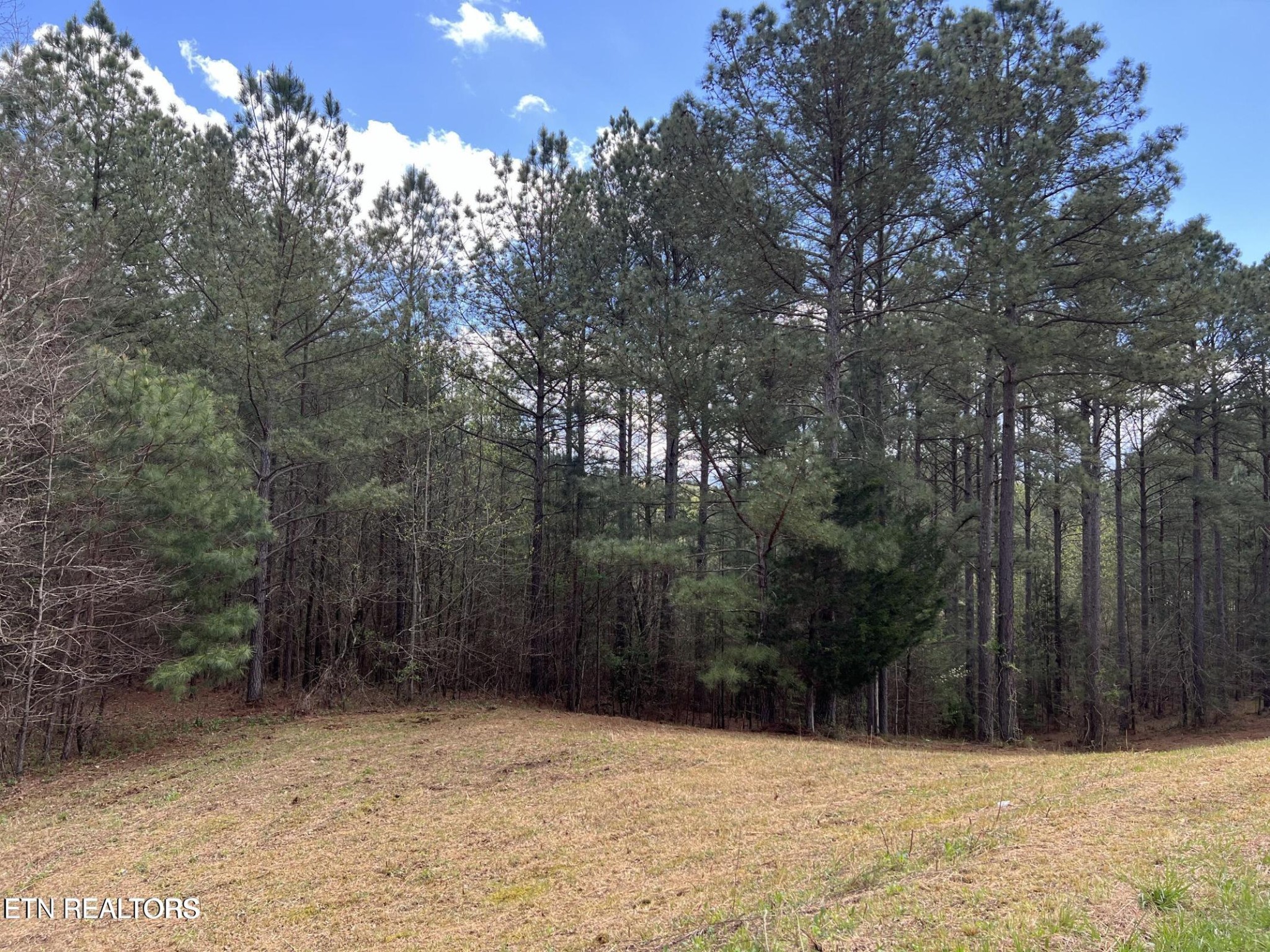 1727 Grand Pine Point Property Photo 9