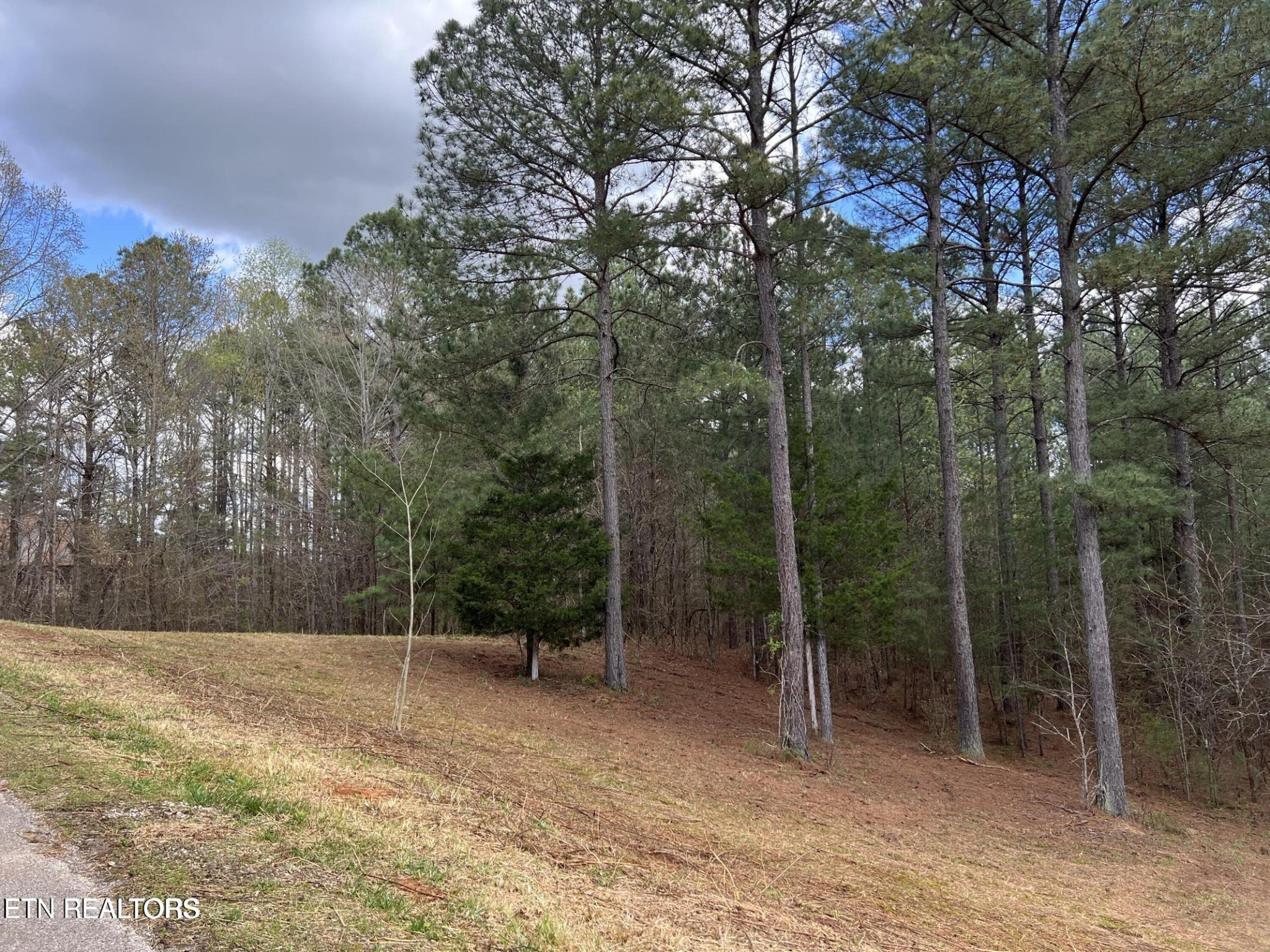 1727 Grand Pine Point Property Photo 11