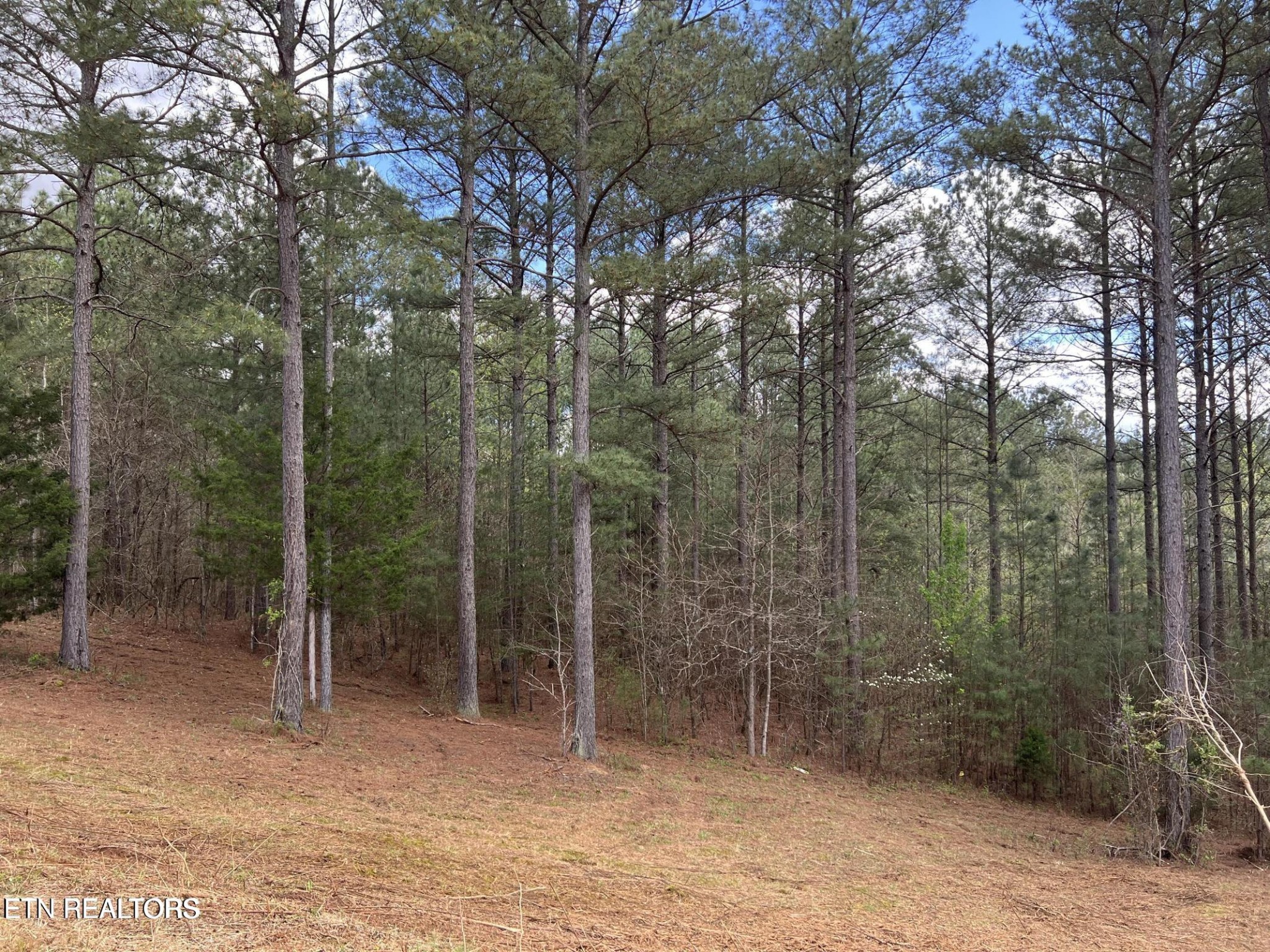 1727 Grand Pine Point Property Photo 12