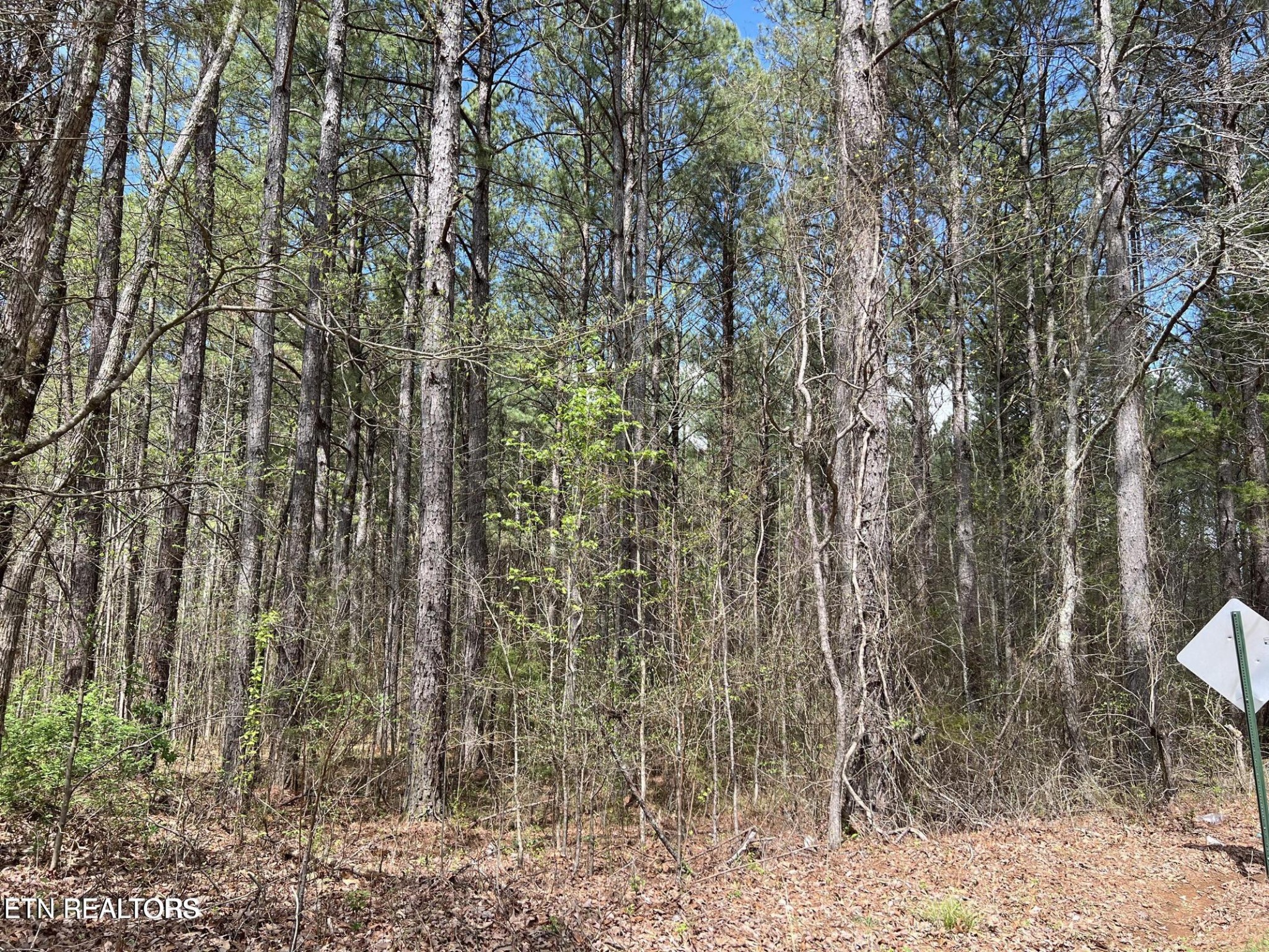 1727 Grand Pine Point Property Photo 13