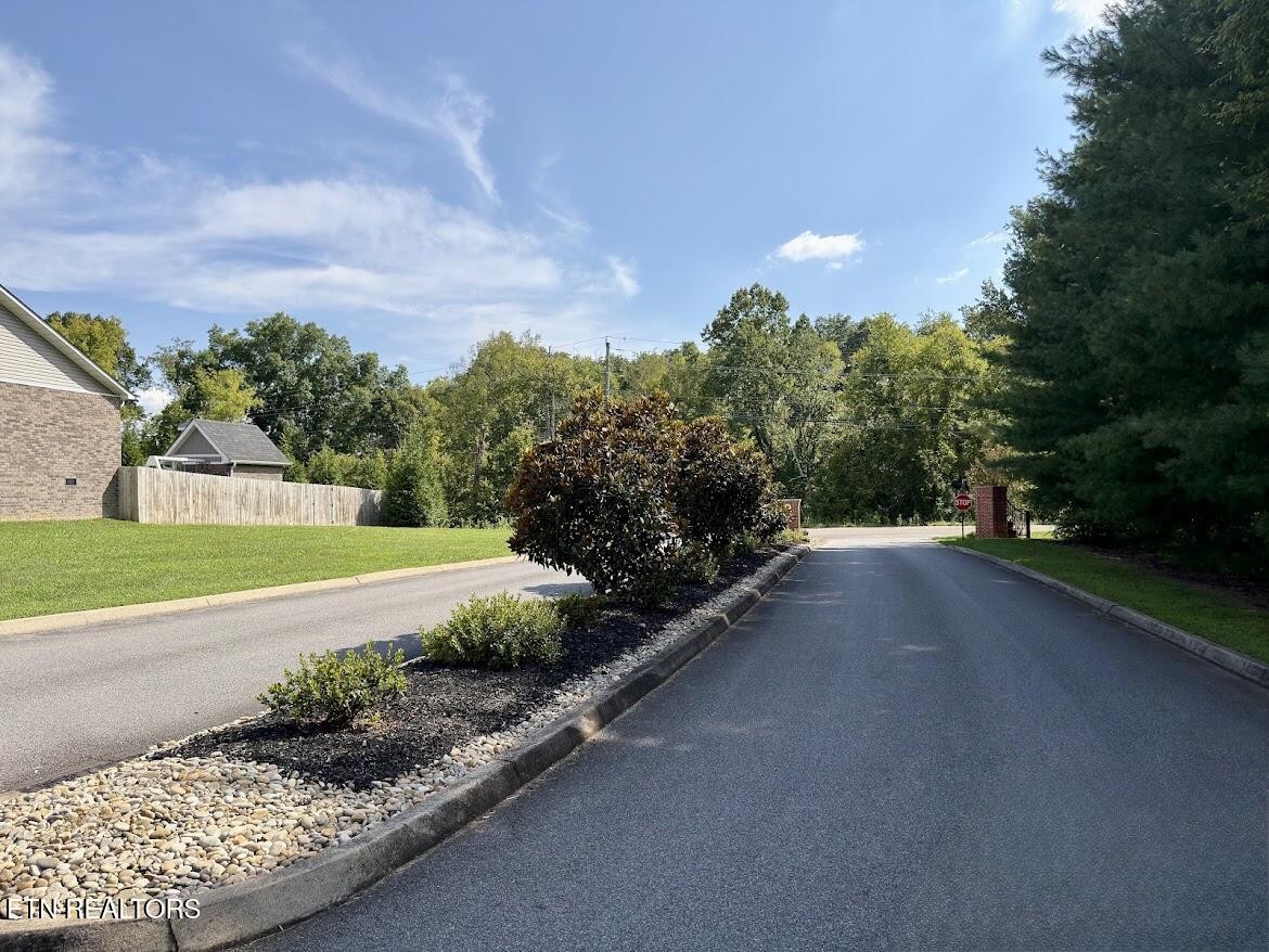 20 Ally Lane Property Photo 5