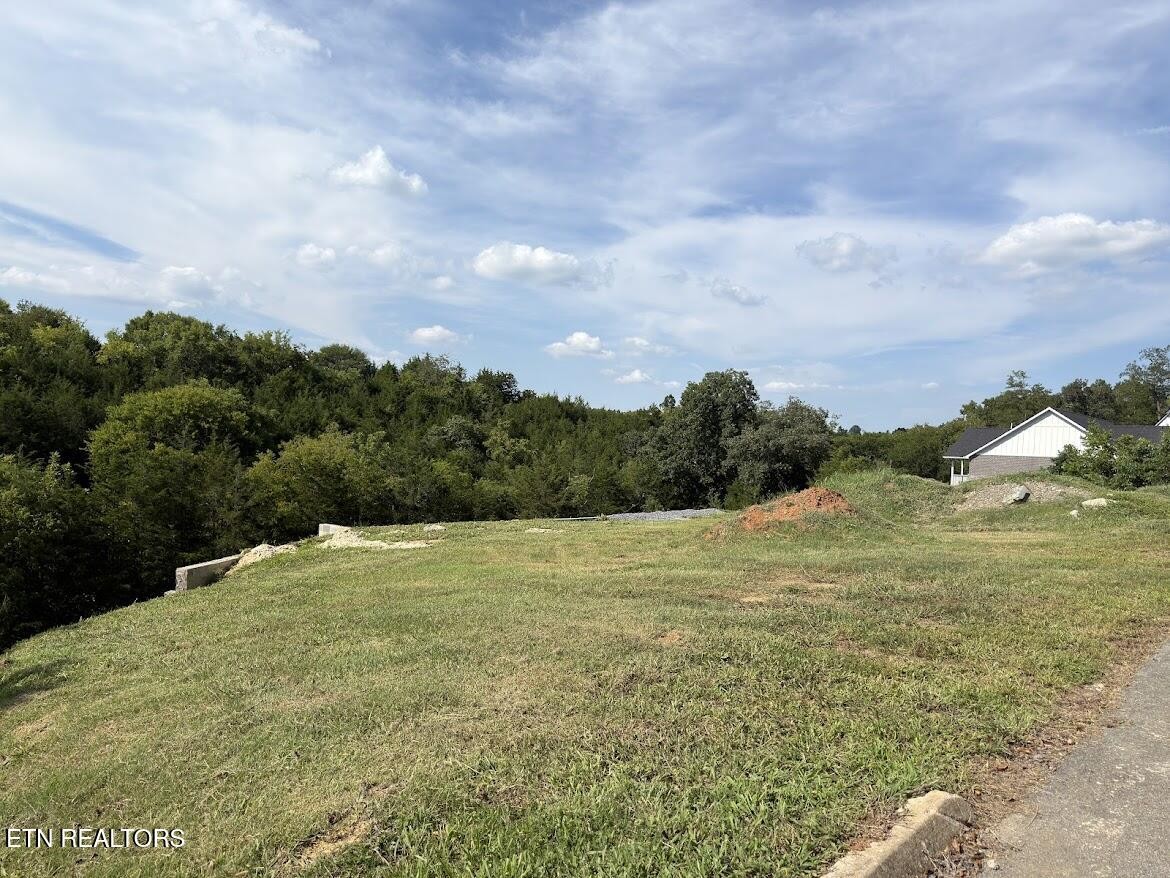 20 Ally Lane Property Photo 11