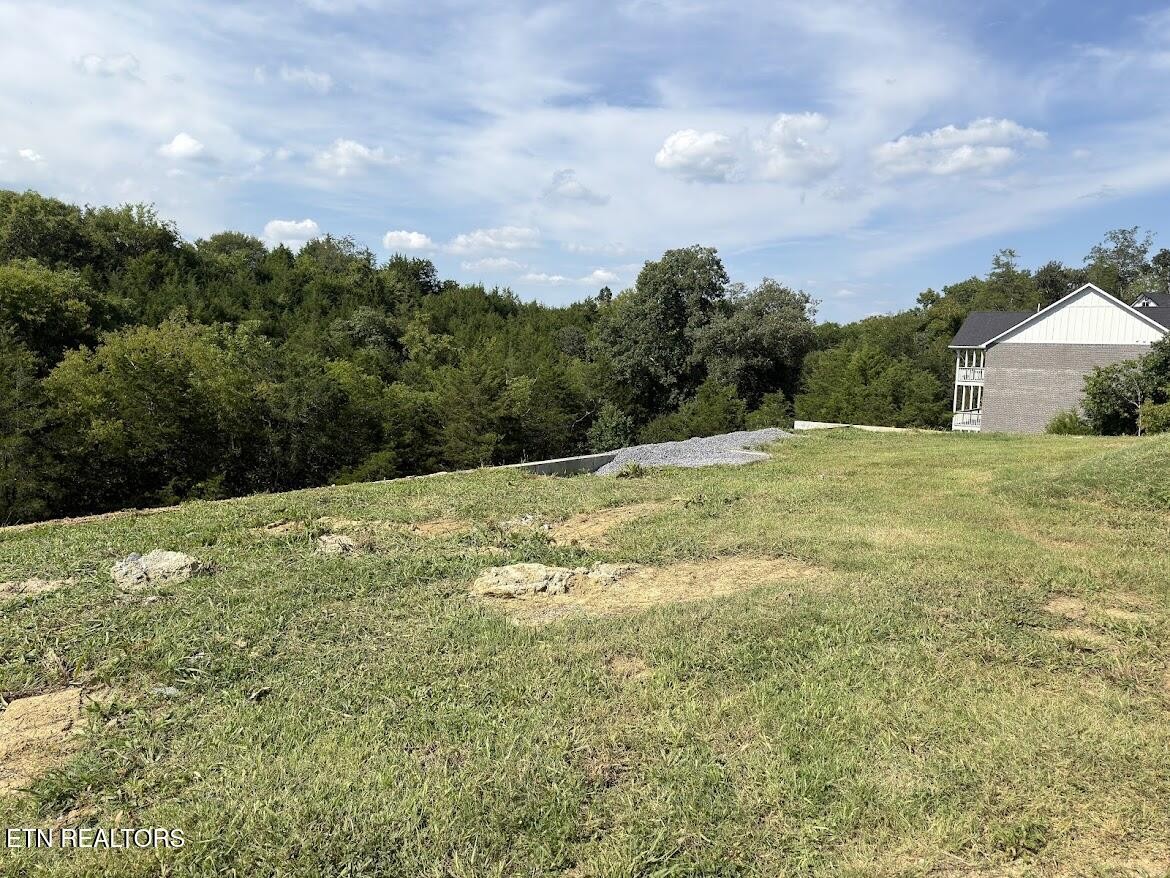 20 Ally Lane Property Photo 15