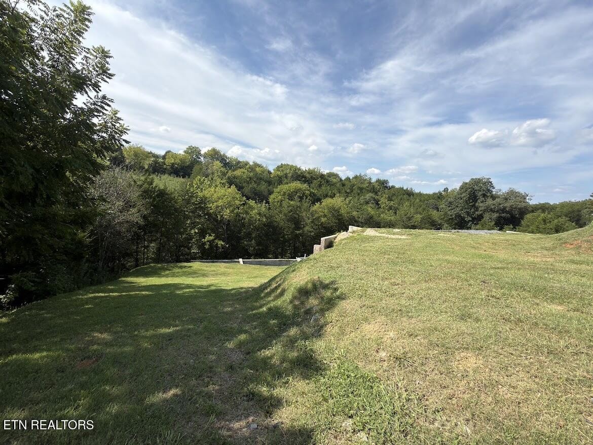 20 Ally Lane Property Photo 16