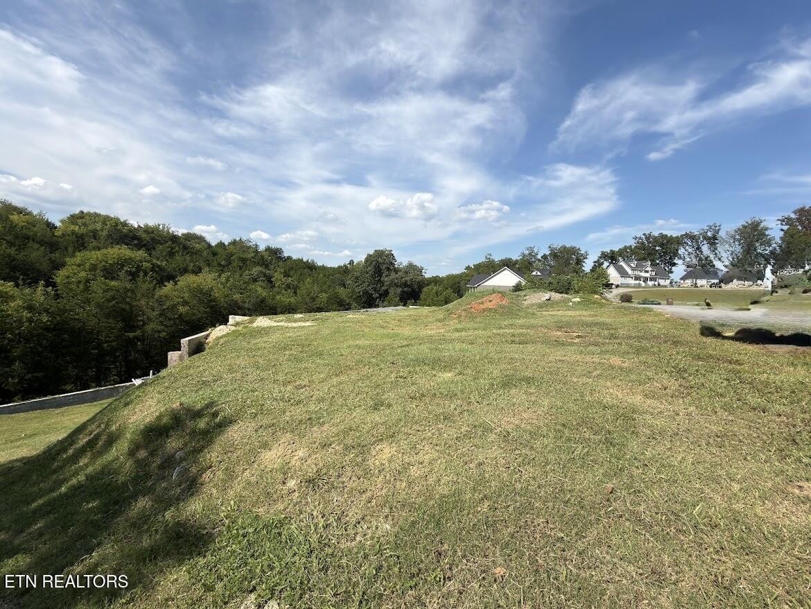 20 Ally Lane Property Photo 17