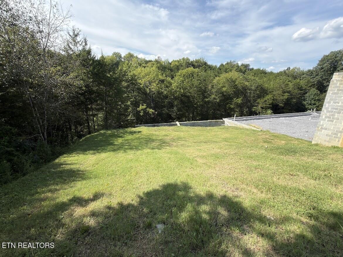 20 Ally Lane Property Photo 19