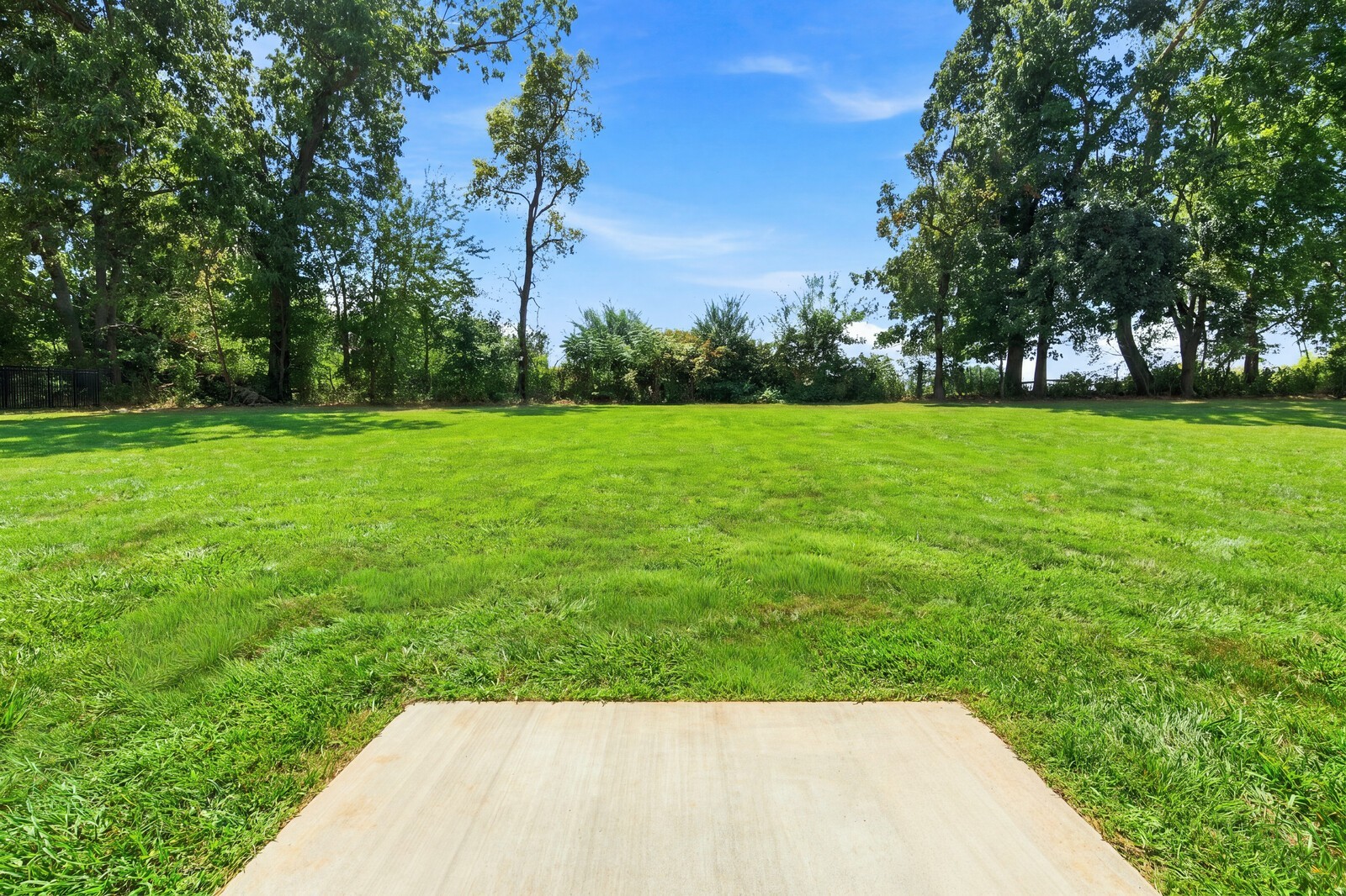 7291 Orrinshire Drive Property Photo 54