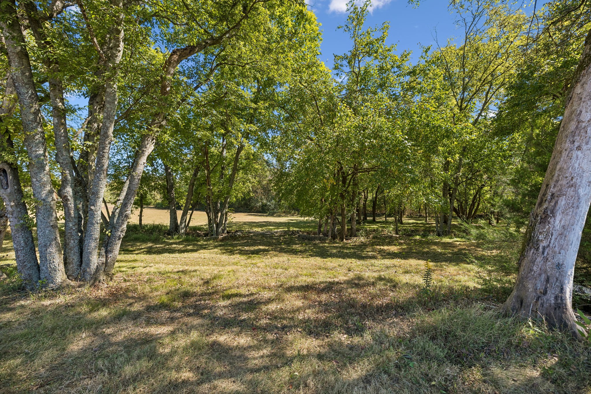 2216 Twin Peaks Ct Property Photo 39