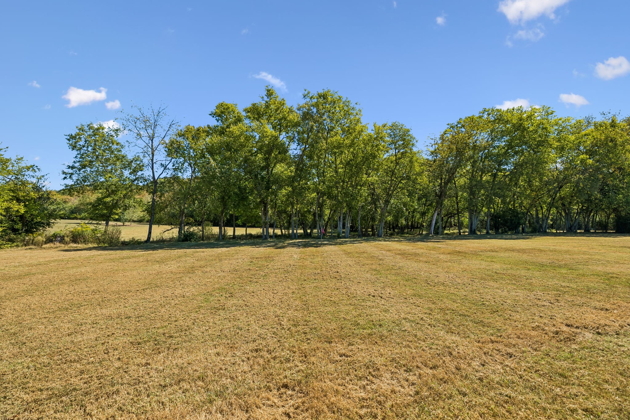 2216 Twin Peaks Ct Property Photo 41