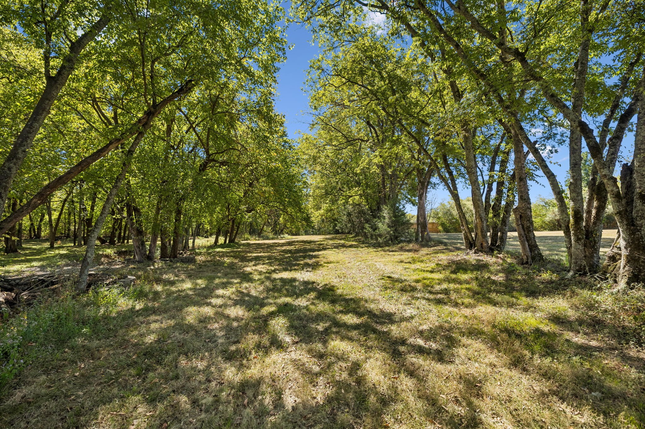2216 Twin Peaks Ct Property Photo 45
