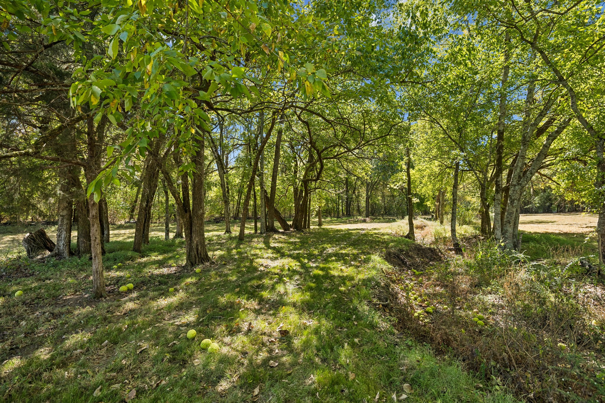2216 Twin Peaks Ct Property Photo 46
