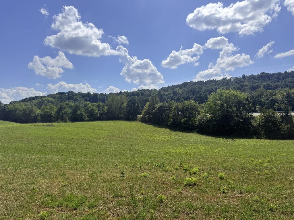 1545 Roberts Matthews Hwy Property Photo 13