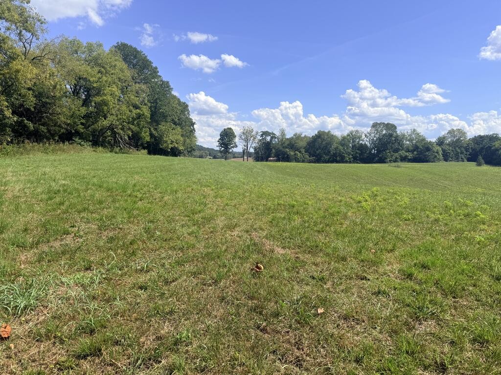 1545 Roberts Matthews Hwy Property Photo 17