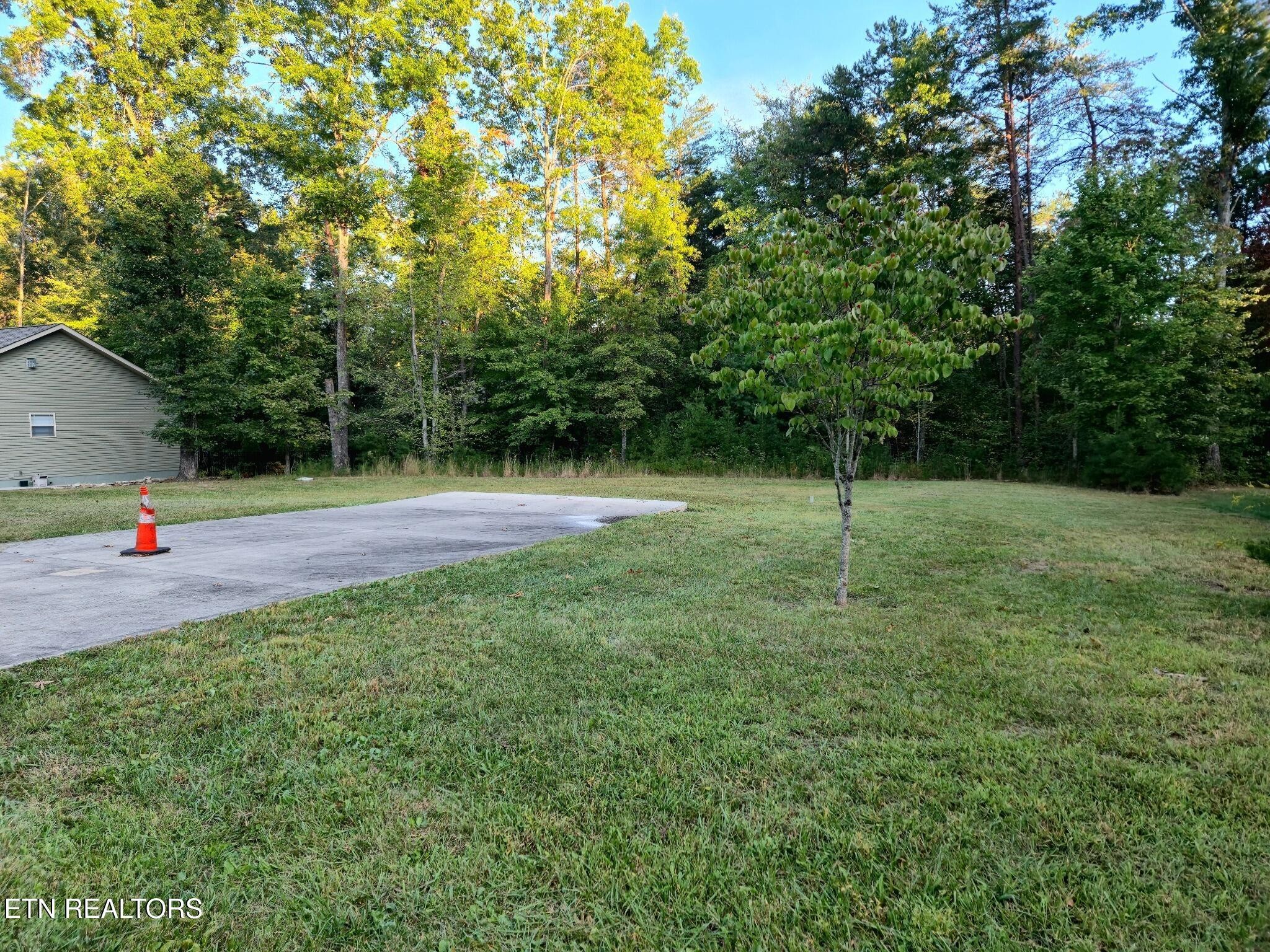 227 Thrushwood Drive Property Photo 3