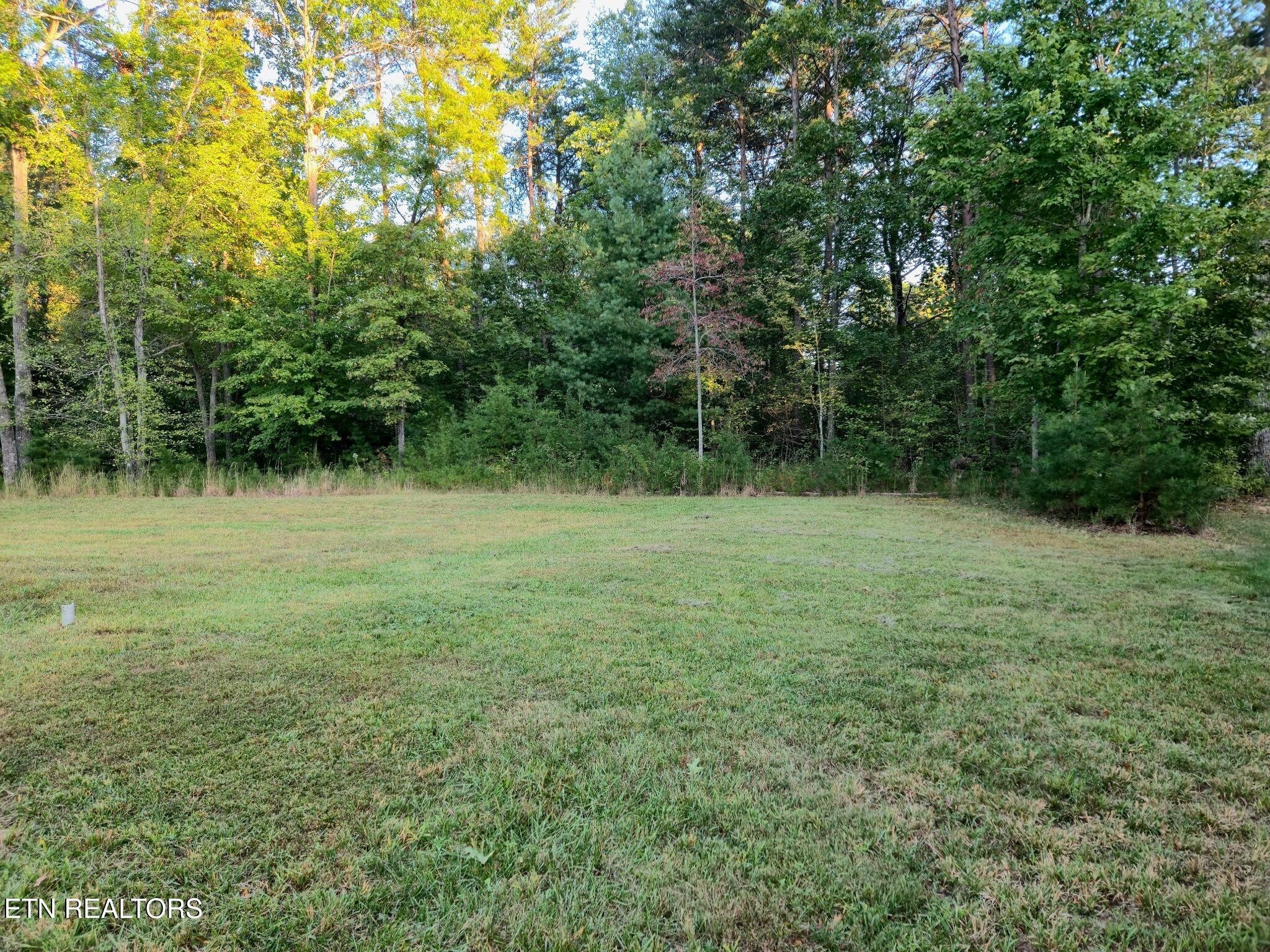 227 Thrushwood Drive Property Photo 6