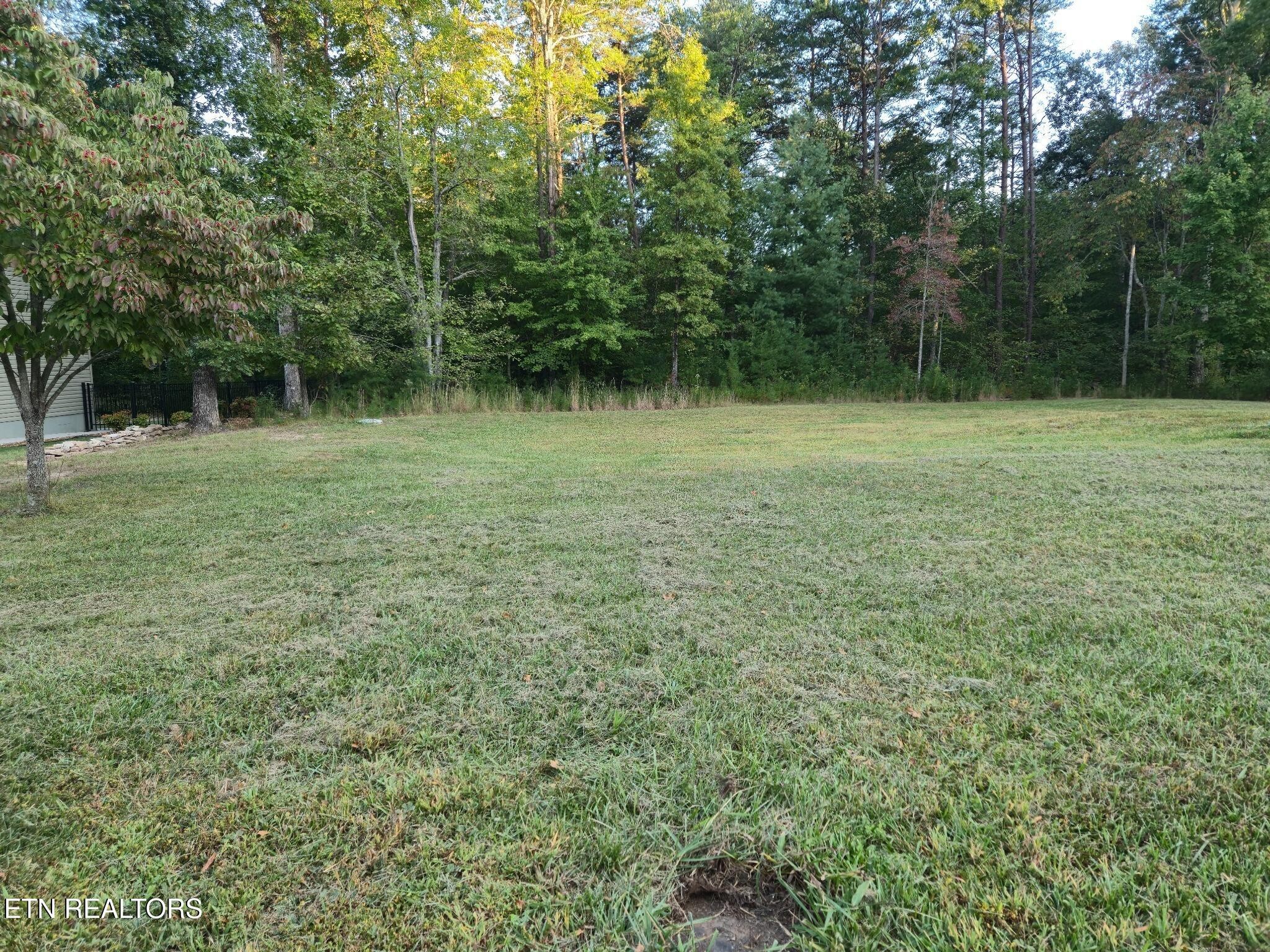 227 Thrushwood Drive Property Photo 8