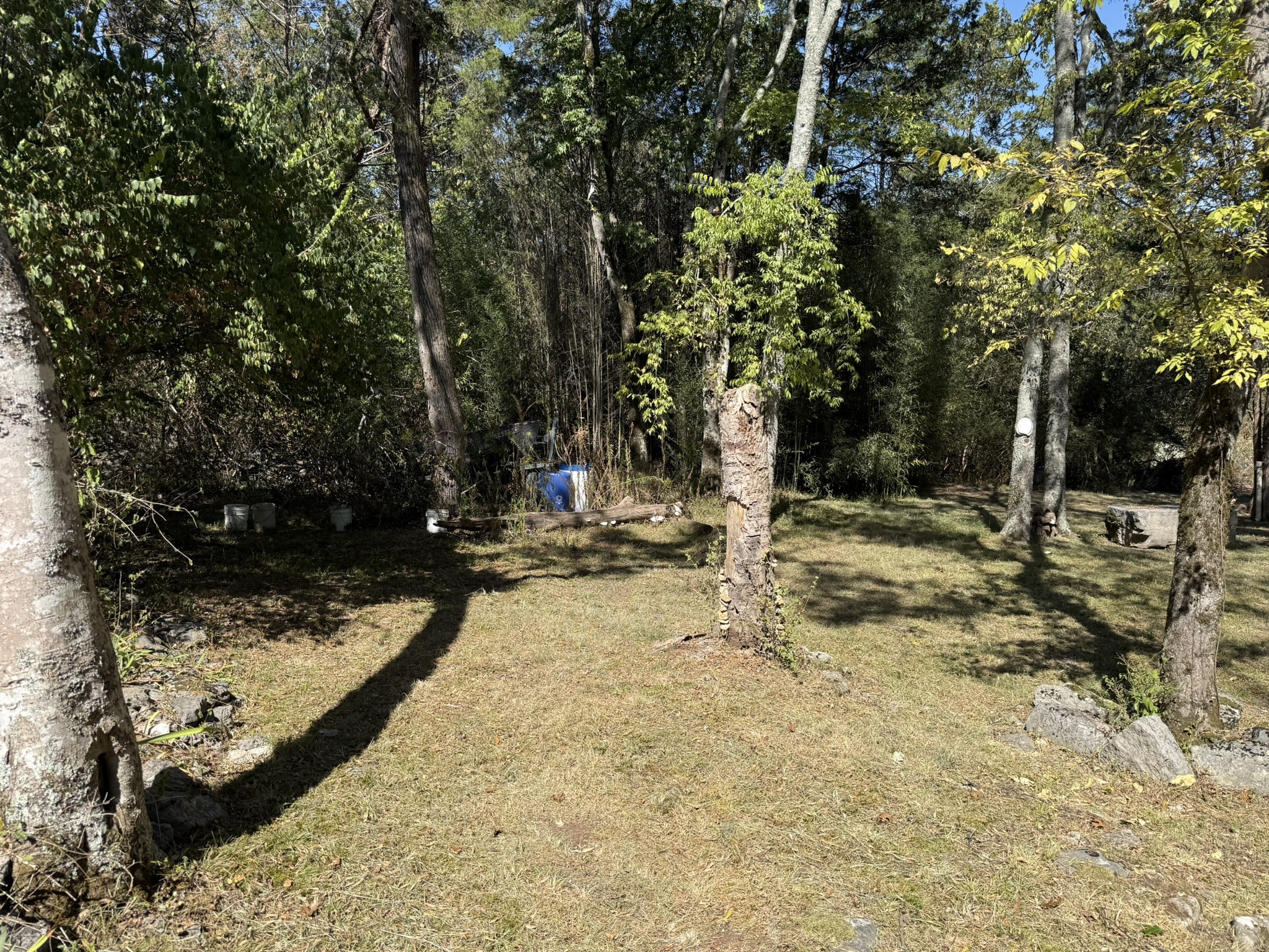 13926 Old Hickory Blvd Property Photo 17