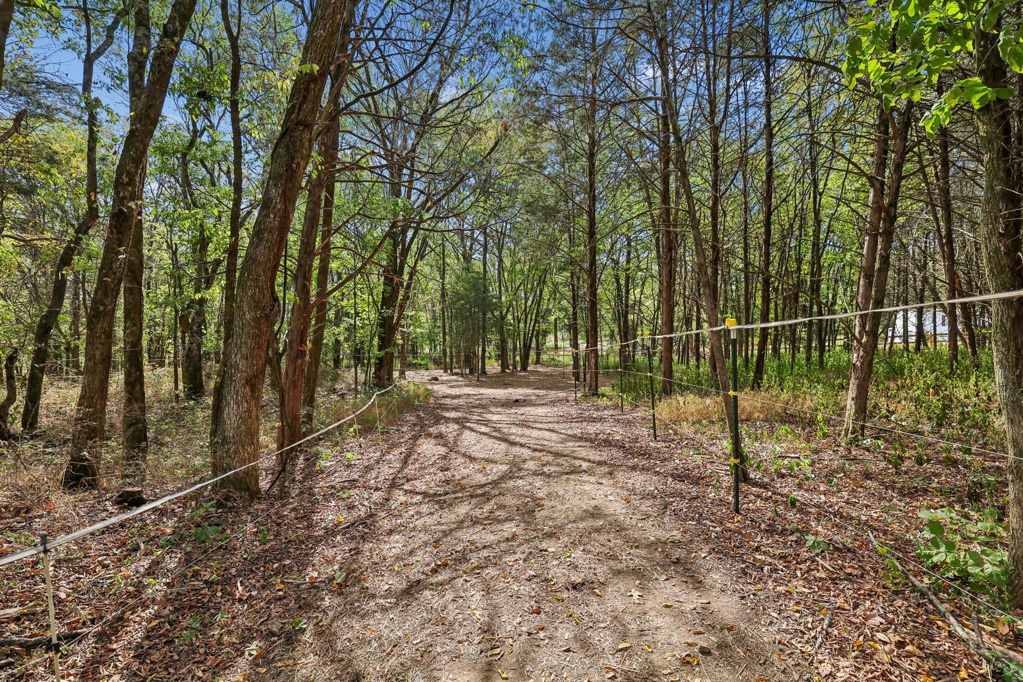 3890 Poplar Hill Rd Property Photo 60