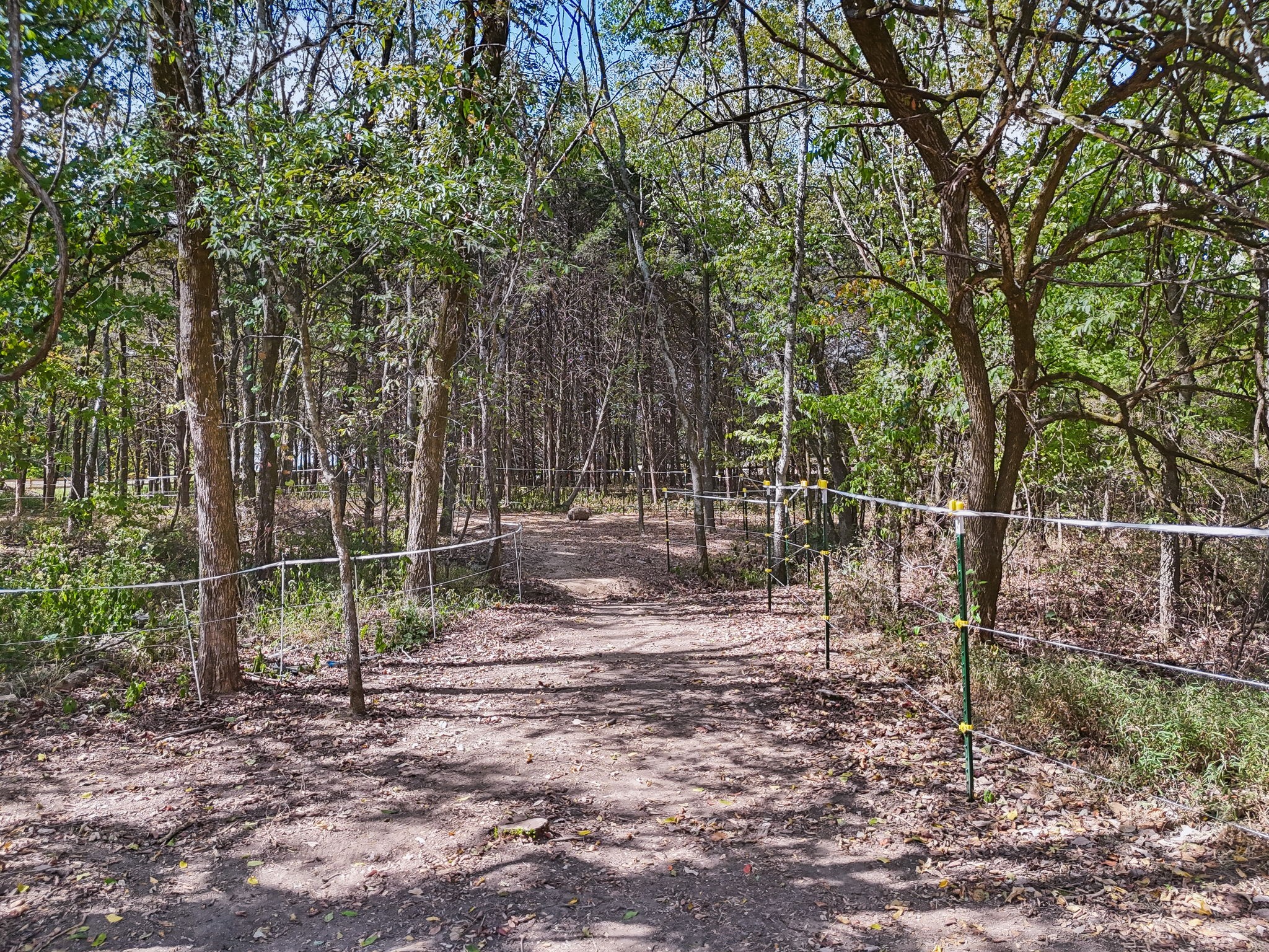 3890 Poplar Hill Rd Property Photo 62