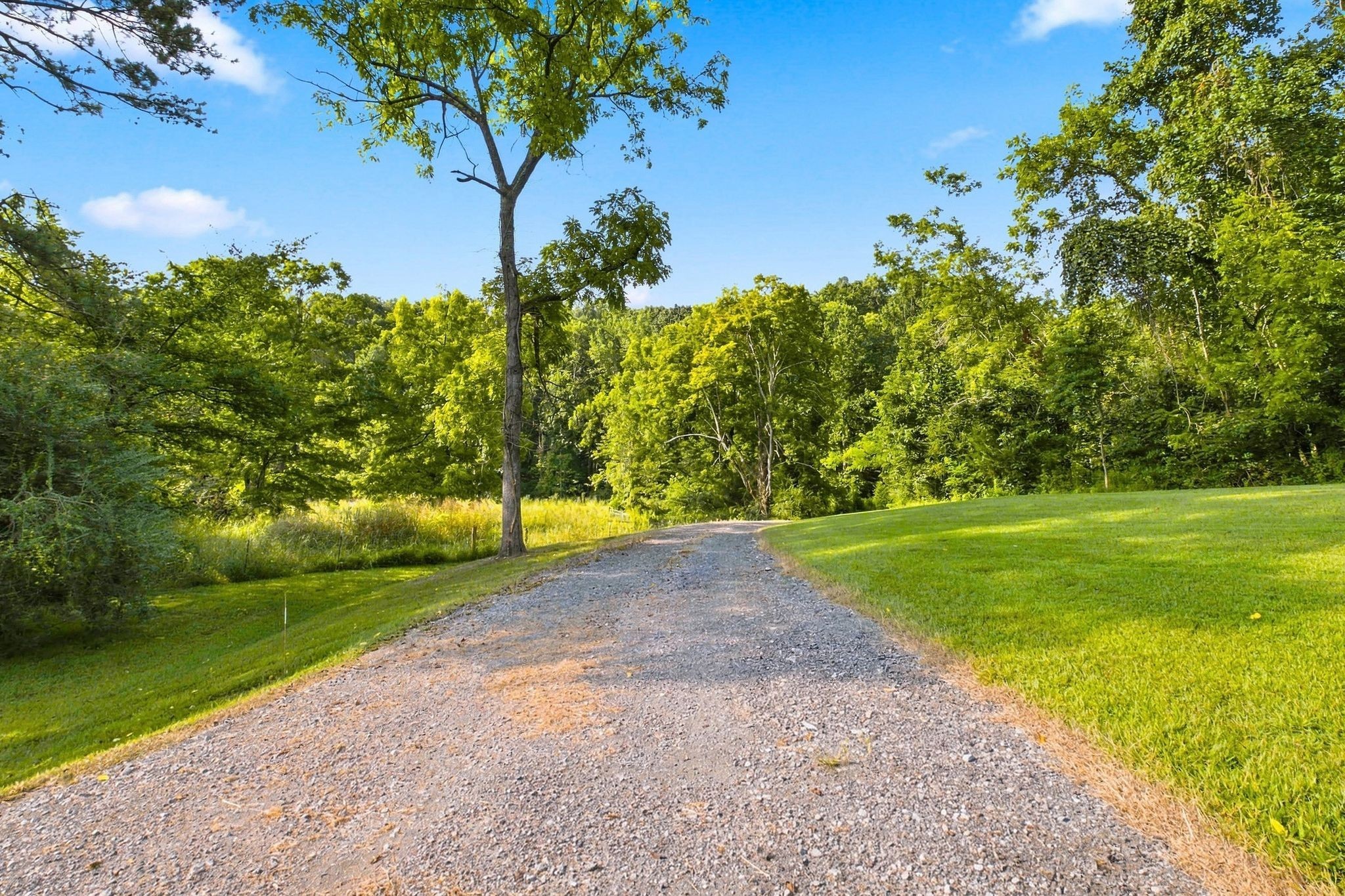 190 Jordan Cm Road Property Photo 62