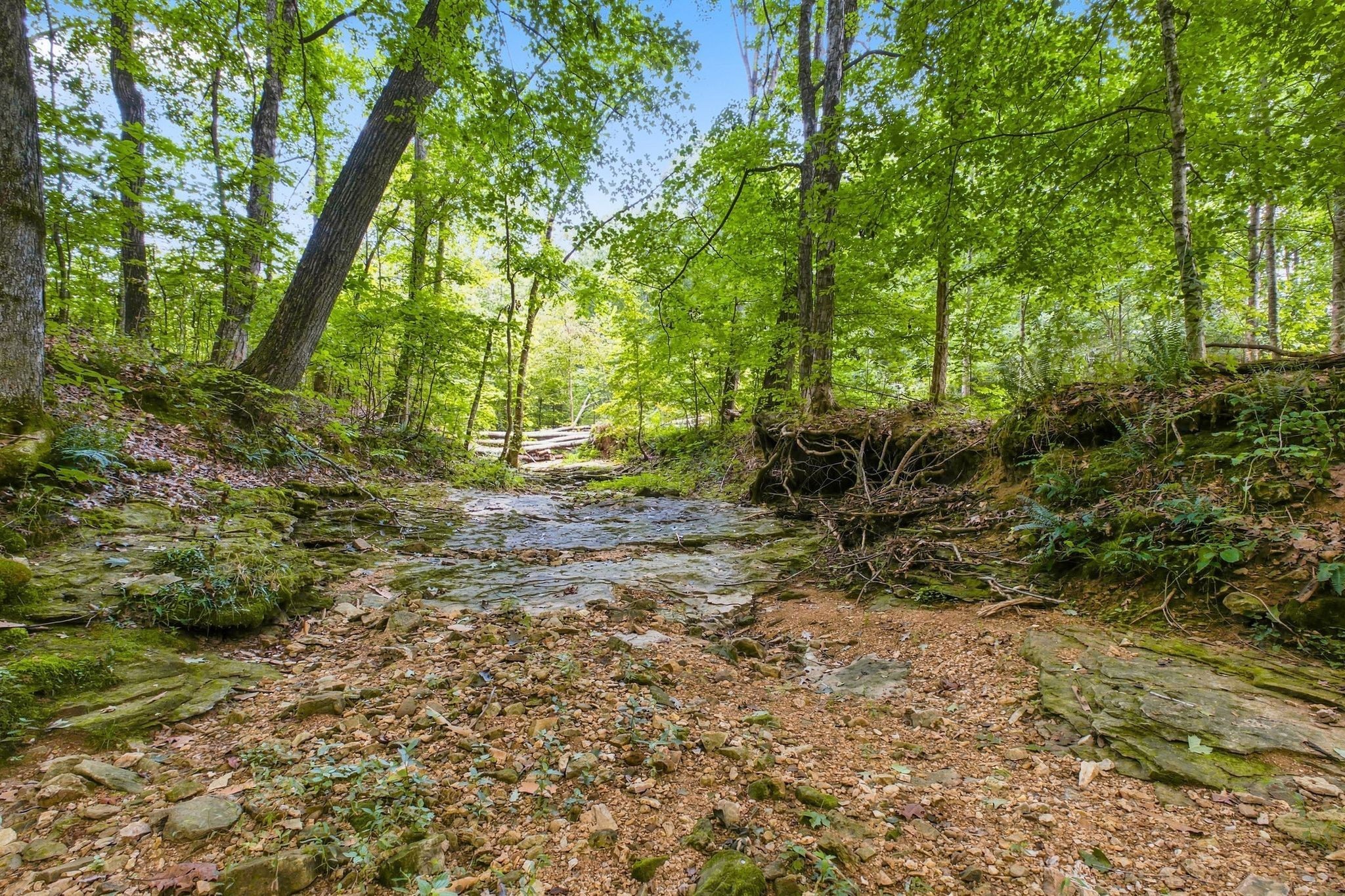 190 Jordan Cm Road Property Photo 71