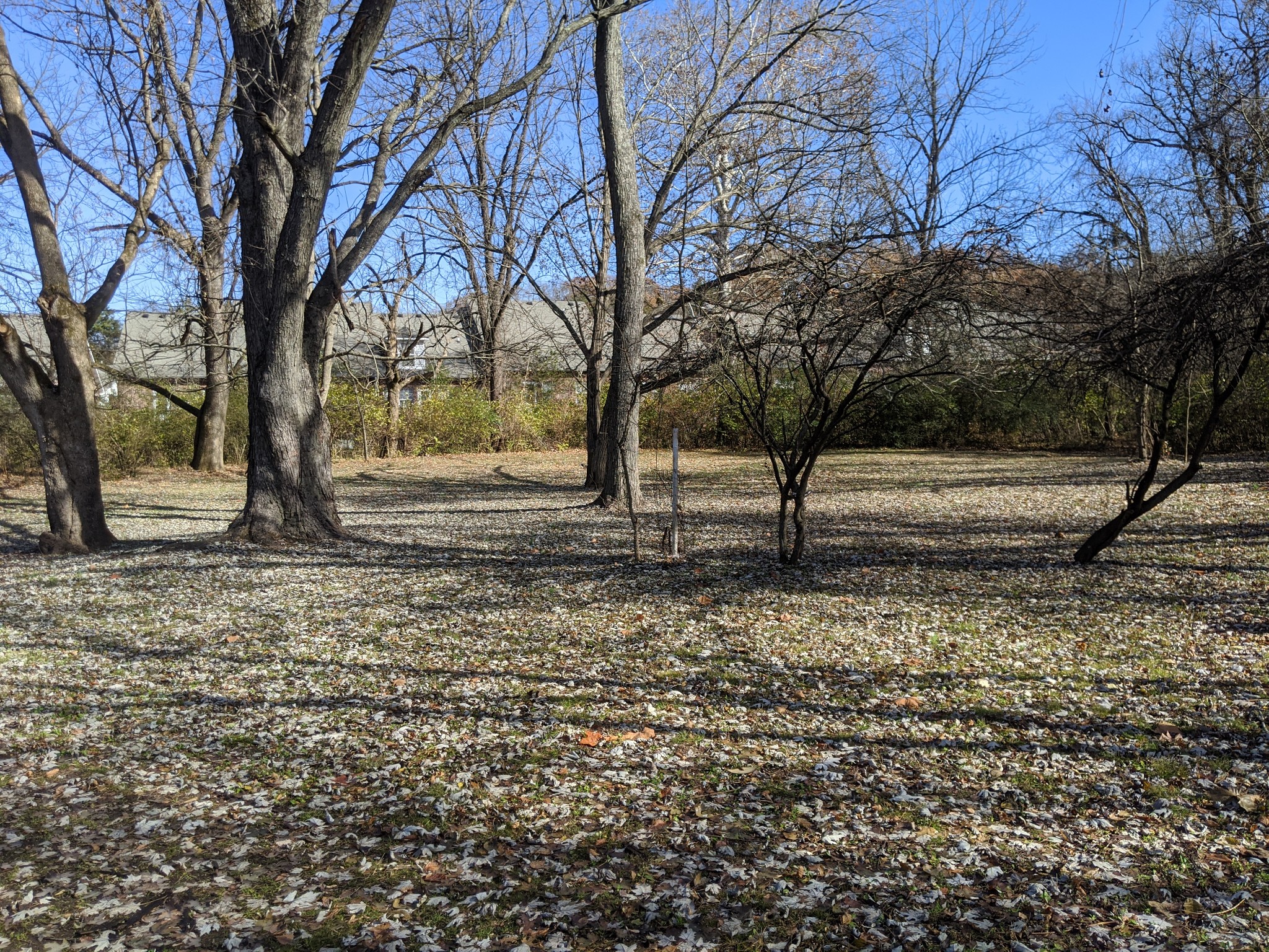 4047 Dodson Chapel Rd Property Photo 16