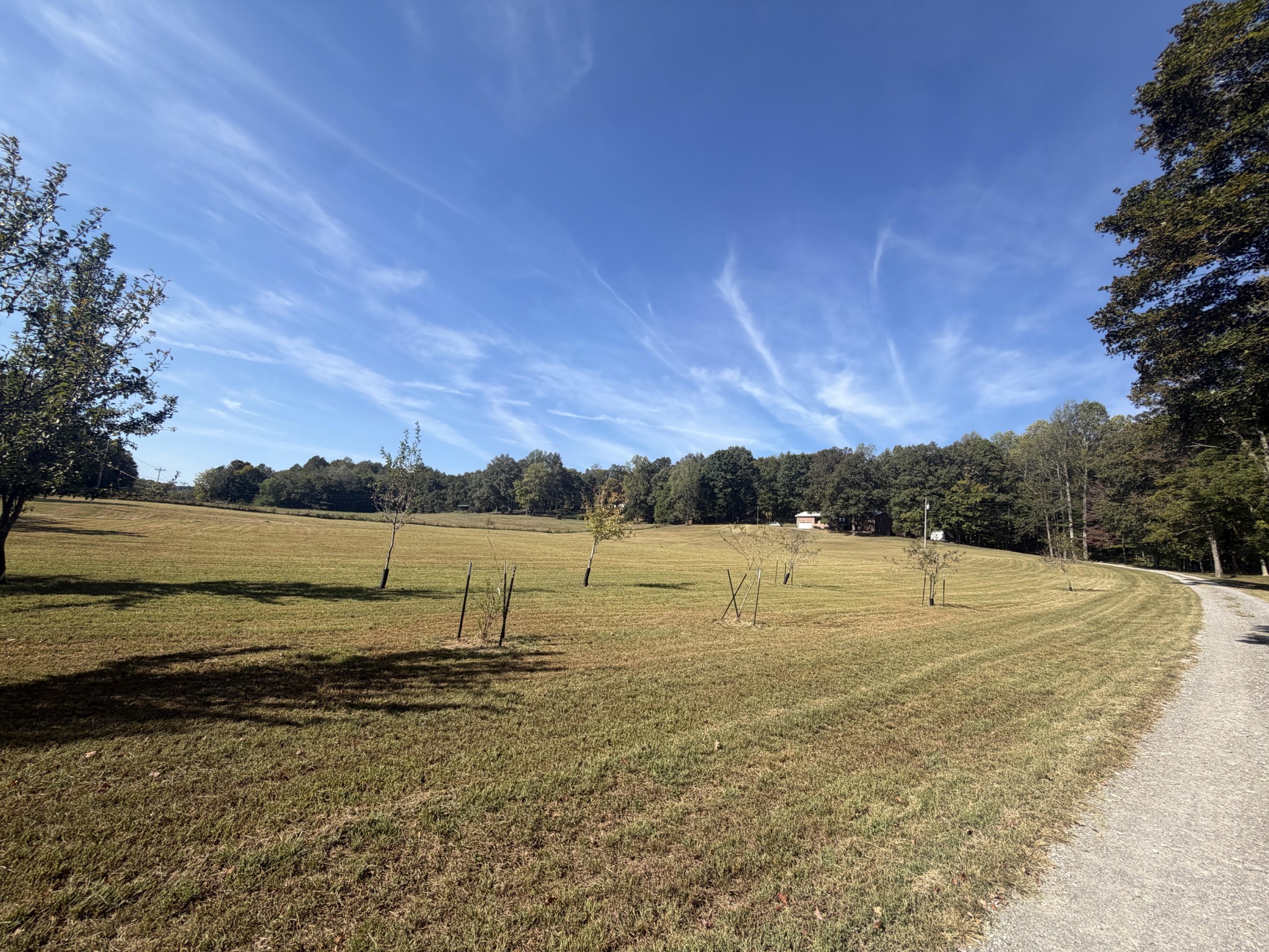1291 Little Bartons Creek Rd Property Photo 4